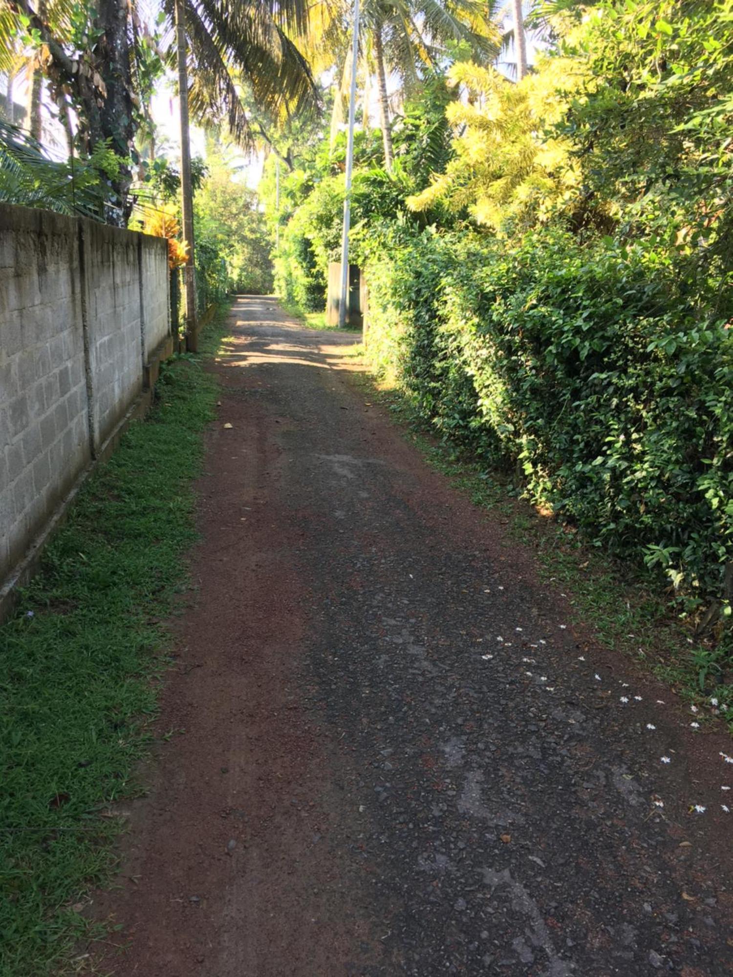 Bosadi Homestay カトゥナカヤ エクステリア 写真